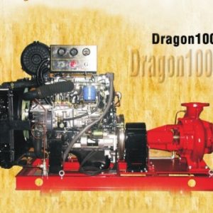 may-bom-chua-chay-hyundai-dragon100