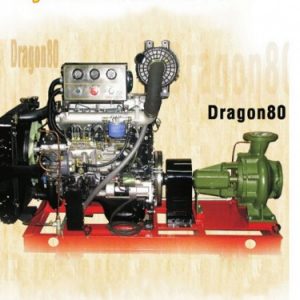 may-bom-chua-chay-hyundai-dragon80