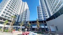 Thiết bị báo cháy Sanjiang được Hochiki Việt Nam cung cấp cho dự án MK Central City Phan Rang thumbnail